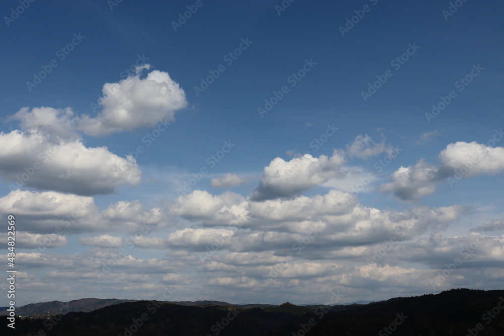 青空を背景にしたの本の美しい風景