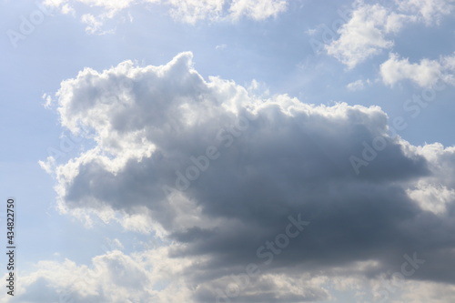 動物のような形をした綺麗な雲