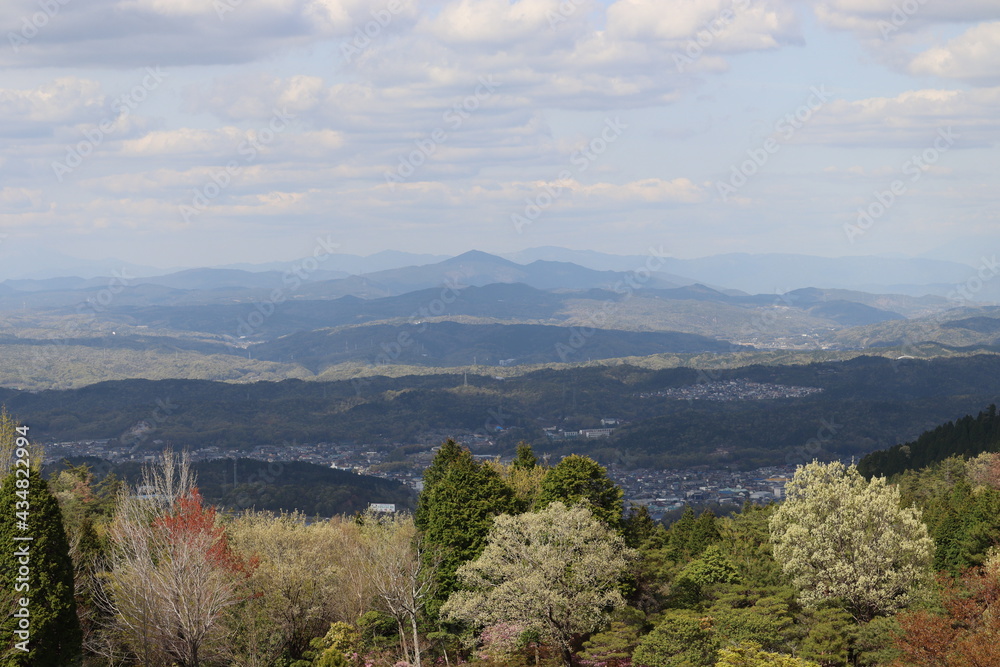 Fototapeta premium 青空を背景にしたの本の美しい風景
