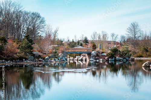 Geese swimming in front of the bridge at the japanese garden in the Frederik Meijer Gardens photo