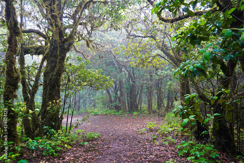 Hike at Roque Chinobre - Canary Islands  Spain