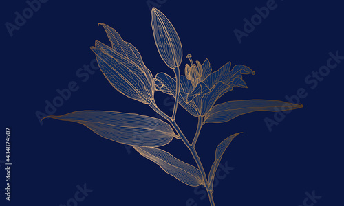 Wallpaper Mural Luxury art deco gold metallic lily flower linear drawing on deep blue. Wallpaper design for print, poster, cover, banner, fabric, invitation, postcard and packaging. Digital vector illustration. Torontodigital.ca