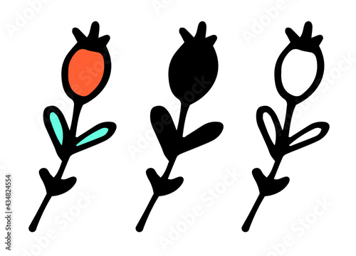 A set of isolated elements of a vector twig with berries, a silhouette and contour in black with a color image of turquoise leaves and a red round berry at the end, a hand-drawn curved twig in the sty