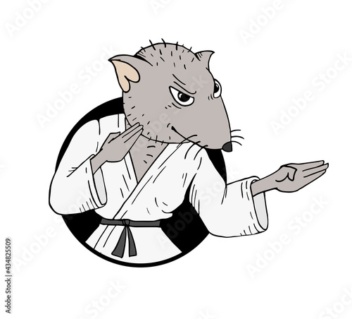 Karate rat draw