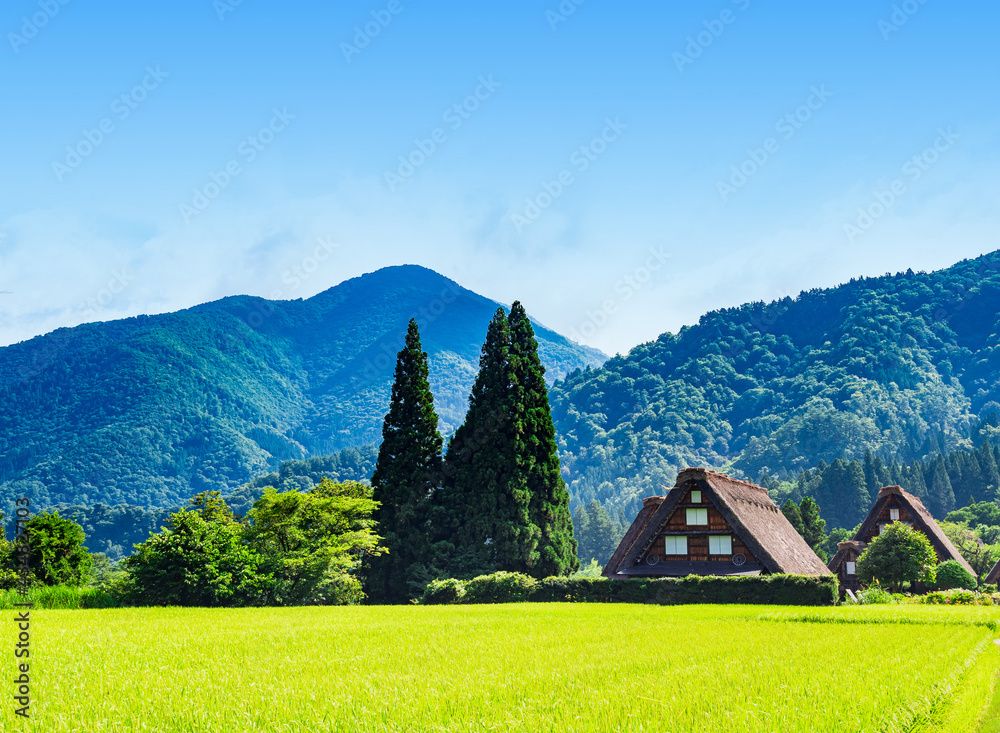 世界遺産 夏の白川郷