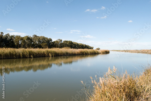 Irrigation canal full with water and reflection from trees and grass photo