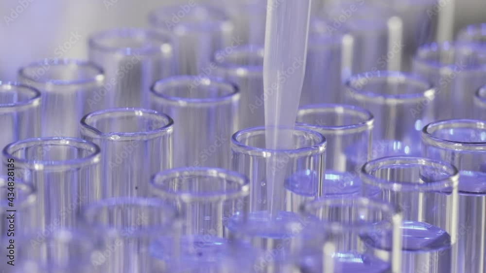 Taking transparent liquid with pipette from test tube standing on rack to make experiment in medical research lab extreme closeup