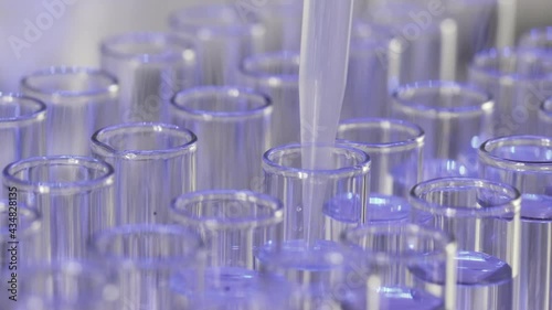 Taking transparent liquid with pipette from test tube standing on rack to make experiment in medical research lab extreme closeup