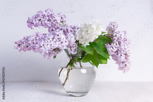 Fresh blooming violet and white lilac branches in glass vase 