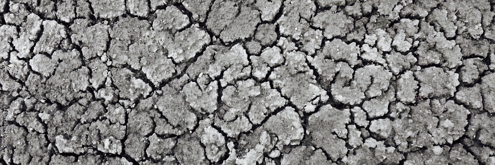 Dried Cracked Wide Texture Background. Dry Earth .Soil Ground Grunge Abstract Texture. Close up Of Crack Soil Top View Web Banner. Cracked Earth Soil Black Arid Background Dried Cracked Wide Texture Background. Dry Earth .Soil Ground Grunge Abstract Texture. Close up Of Crack Soil Top View Web Banner. Cracked Earth Soil Black Arid Background