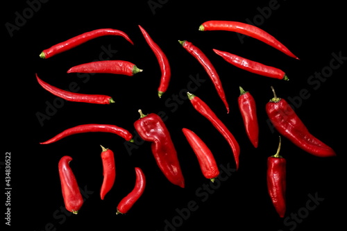 Isolated Peppers Collection. Various Red Hot Chili, Cayenne And Other Peppers Selection Isolated On Black Background. Types Of Different Peppers Background Texture. Set Of Variety Red Peppers.