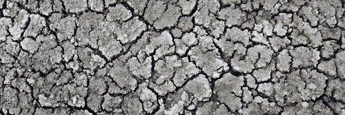 Dried Cracked Wide Texture Background. Dry Earth .Soil Ground Grunge Abstract Texture. Close up Of Crack Soil Top View Web Banner. Cracked Earth Soil Black Arid Background