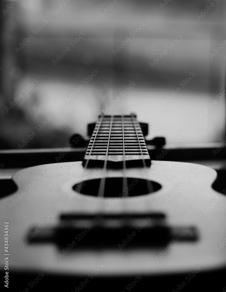 Fototapeta premium acoustic guitar close up