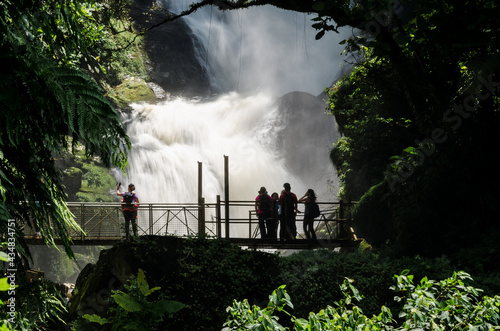waterfall in the forest