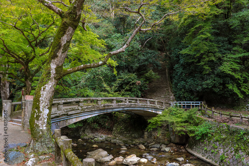 森の渓流にかかる古い橋