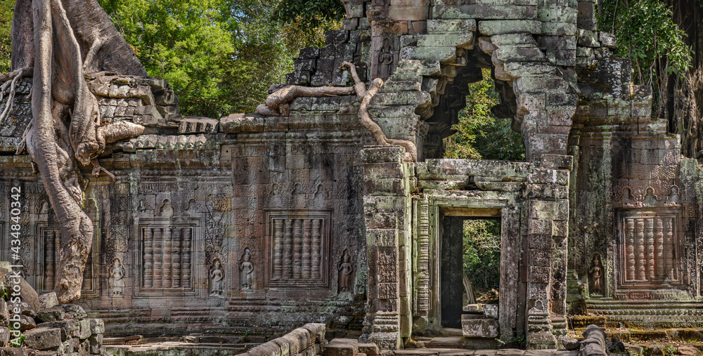 Naklejka premium Overgrown temple