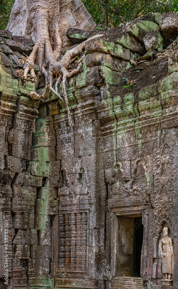 Overgrown temple Overgrown temple