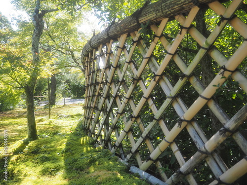 お寺の竹垣