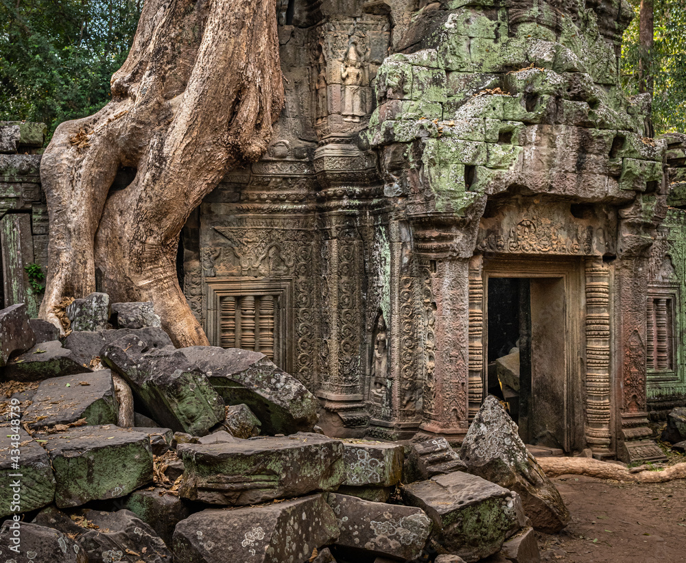 Naklejka premium Overgrown temple