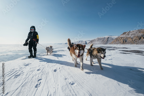 Walking woman and sled dogs pulling sleigh during  winter hike along frozen Lake Baikal © Annatamila