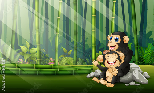Happy chimpanzee with her cub in the bamboo forest