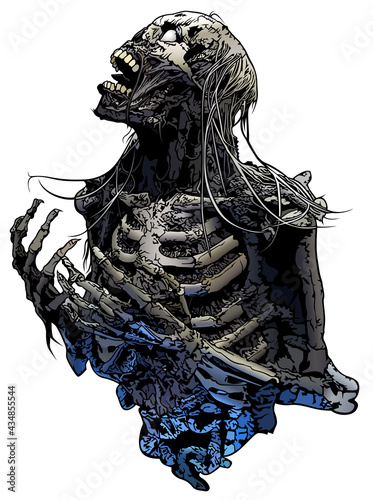 Tela Horror Skeleton Illustration Isolated on White Background - Scary Design Element