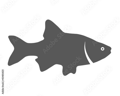 Black silhouette of fish on white background