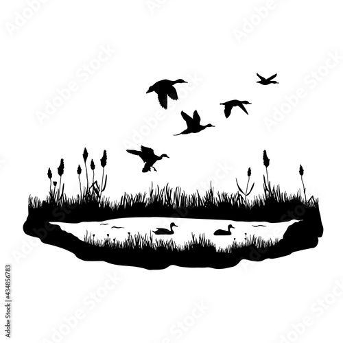 Silhouettes of water plants, ducks and reeds. Vector black illustration of the pond with flying and floating birds.