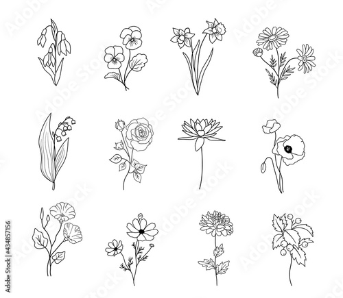 Wildflowers and flowers collection, drawing, line art, vector. Set of Isolated rose, poppy, water lily and others plants in outline style