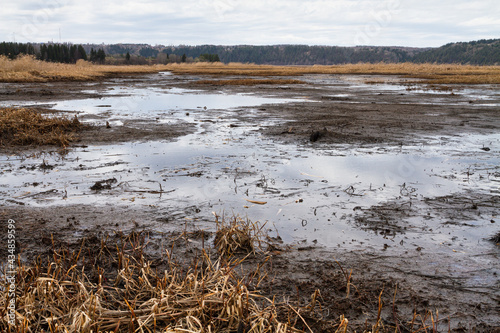 viscous mudbank