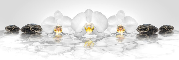 Plexiglas schilderij Spa Orchideeën en zen stenen op water  © Josip