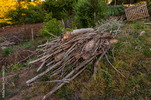 Wallpaper Mural firewood in the countryside of southern Chile Torontodigital.ca