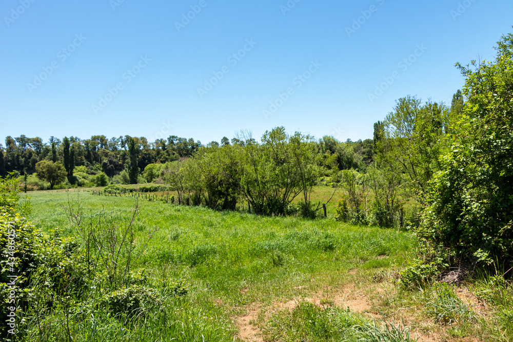 countryside landscapes of southern Chile