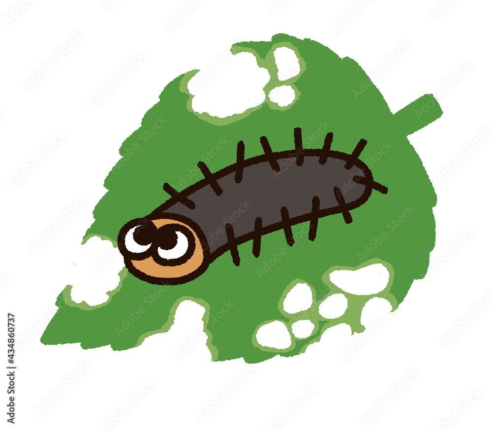 Naklejka premium 毛虫と虫食いだらけの葉っぱ