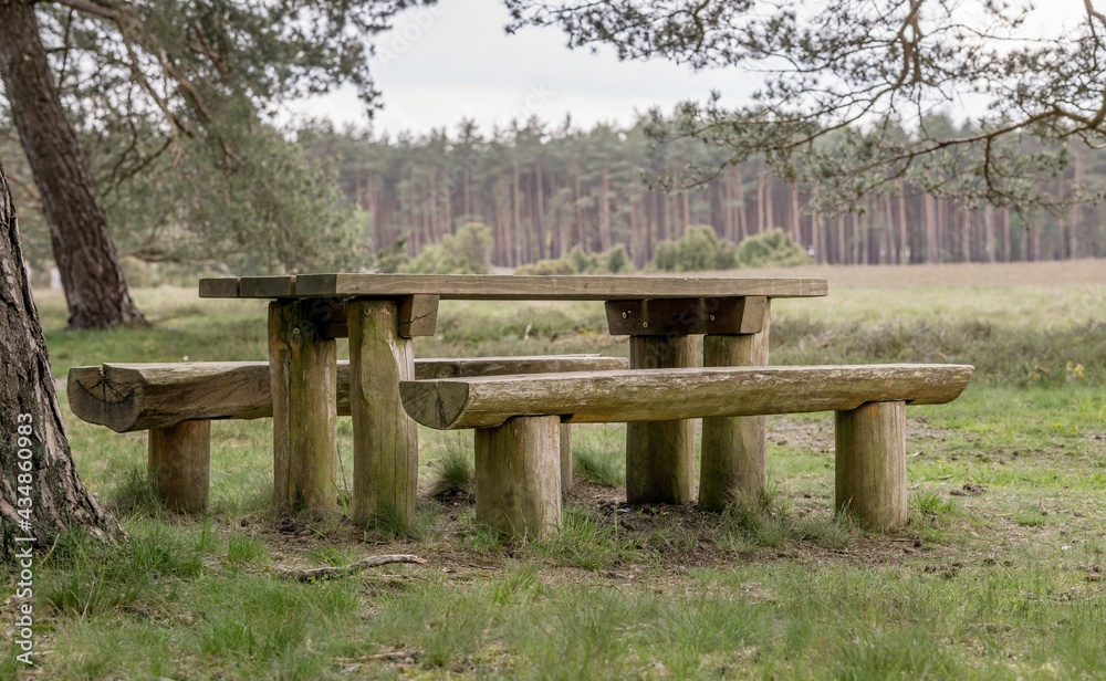 Wooden log picnic bench table and chairs in a tranquil nature park woodland area Wooden log picnic bench table and chairs in a tranquil nature park woodland area