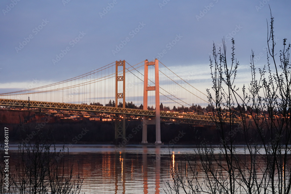 Narrows bridge in golden light at dusk through trees