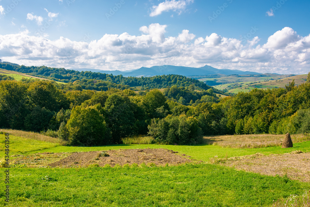 mountainous rural landscape in autumn. trees on the hills. countryside scenery with valley in the distance. clouds above the peak in evening light. beautiful nature background
