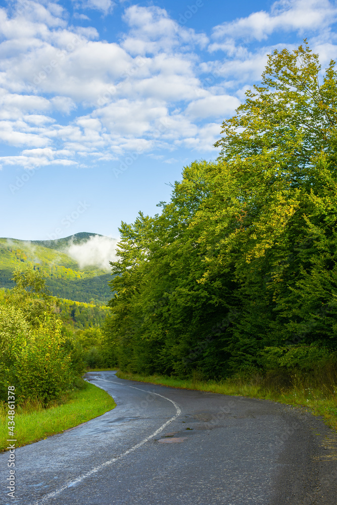 country road through forest in mountains. beautiful fresh morning in early autumn. path winding in to the distance. wet asphalt. cloud on the distant summit. travel backcountry concept