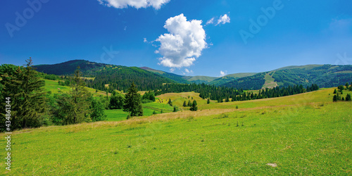 countryside summer landscape on a sunny day. grassy fields and forested hills at the foot of mountain ridge beneath a blue sky with fluffy clouds