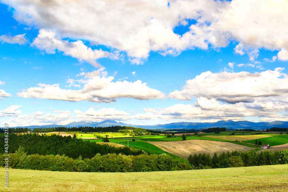 Fototapeta premium 北海道、美瑛の広大な景色