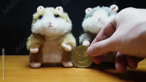 Hamsters exchange bitcoin for altcoin