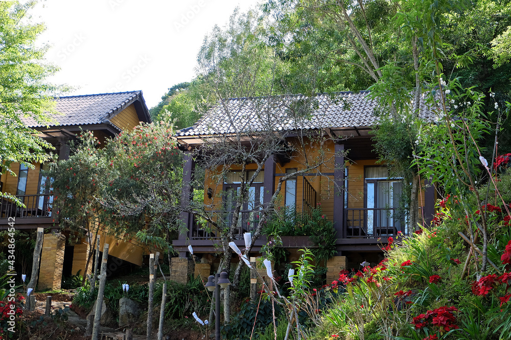 Exterior architecture and front facade design of hotel villa among natural green park