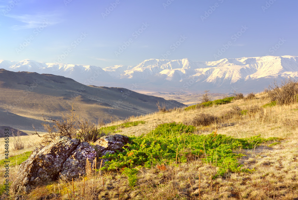 The North-Chui range in the Altai Mountains. Rocks and dry grass on a mountainside, snow-capped mountains in the distance under a blue sky. Pure Nature of Siberia, Russia