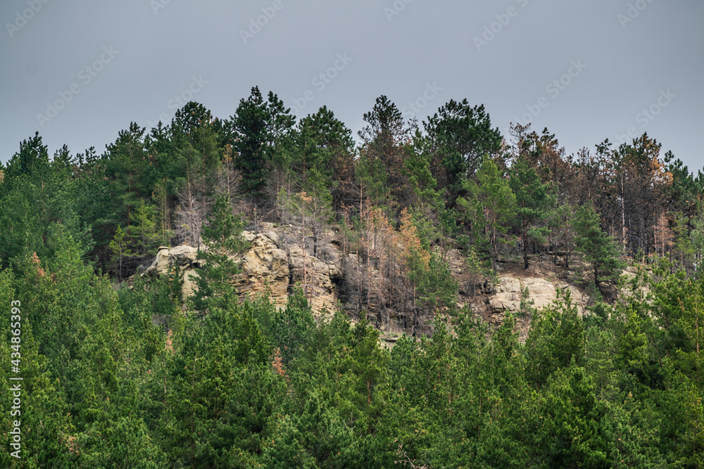 mountain cliff over green pine forest during cloudy day, Kislovodsk city, caucasus mountains, Russia