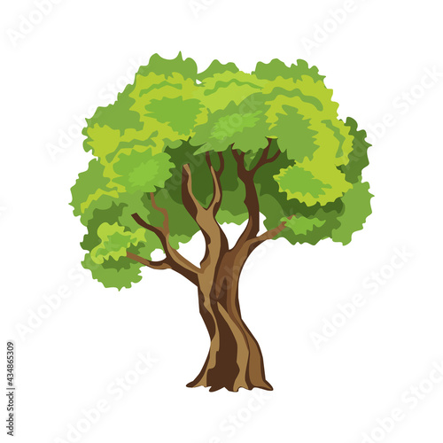 Cartoon deciduous tree, flat design, vector illustration, environment concept.