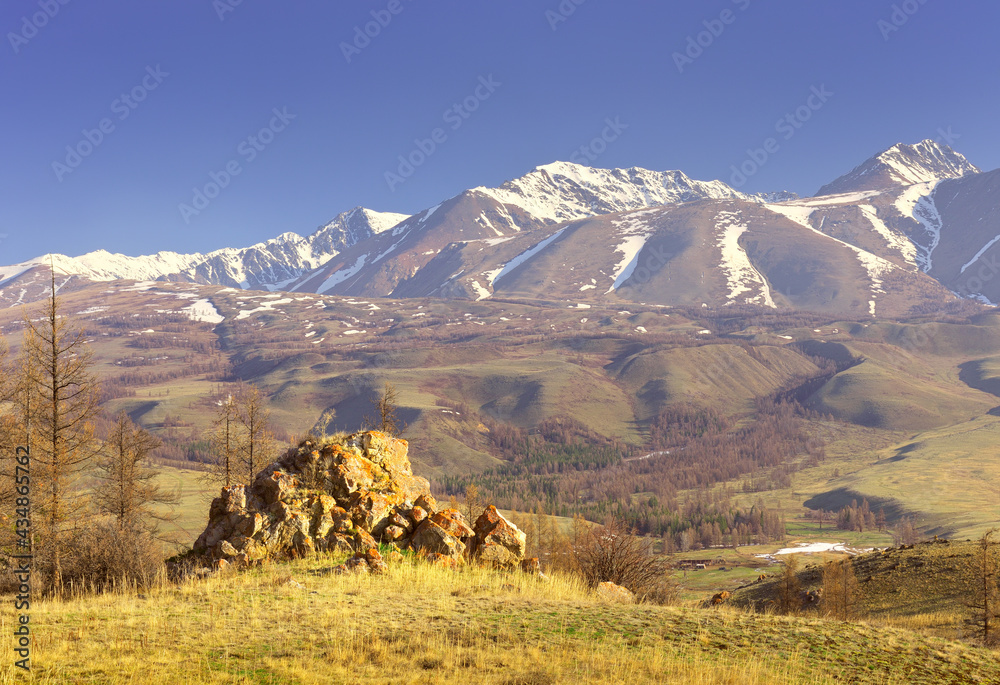 The Kurai range in the Altai Mountains. Rocks and dry grass on the mountainside, snow-capped mountains in the distance under a blue sky. Pure Nature of Siberia, Russia