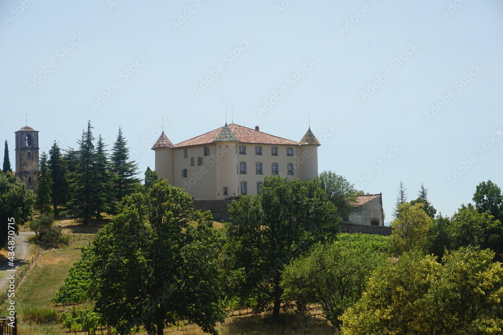 Fototapeta premium the castle in the country