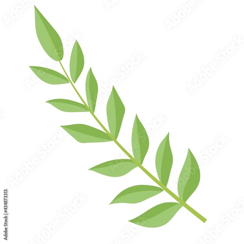 Simple doodle of a plant. Leaf from a tree. Vector illustration isolated on white background. hand-drawn.