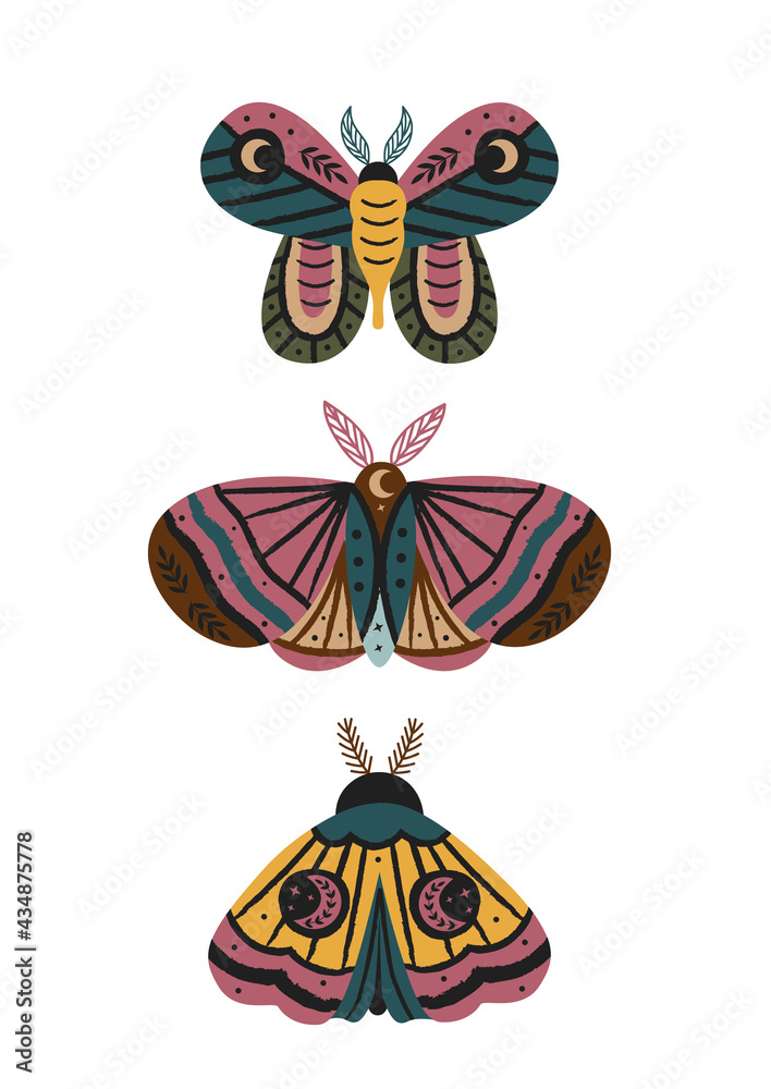 magic poster with beautiful moths and butterflies
magic poster with beautiful moths and butterflies