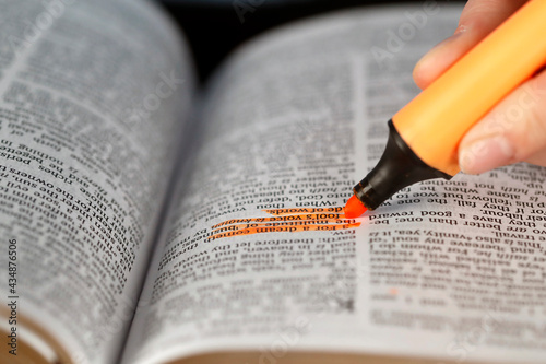 Принти на полотні Woman studying the bible